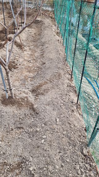 권혁렬님의 기타작물 · 영농일지 작성글 사진