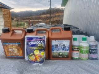 성은모님의 복숭아 · 영농일지 작성글 사진