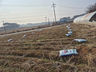 김기철님의 기타작물 · 영농일지 작성글 사진