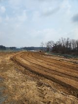 팜모닝 기타작물·영농일지 게시글 이미지