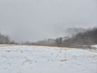 musim님의 사과 · 영농일지 작성글 사진