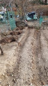 팜모닝 기타작물·영농일지 게시글 이미지