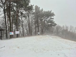 musim님의 사과 · 영농일지 작성글 사진