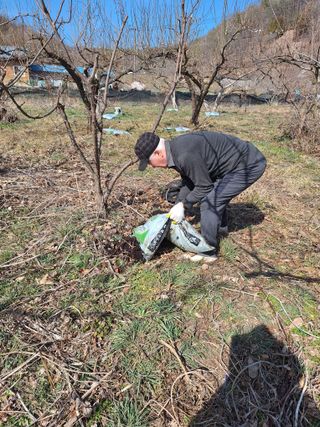 이홍석님의 매실 · 영농일지 작성글 사진