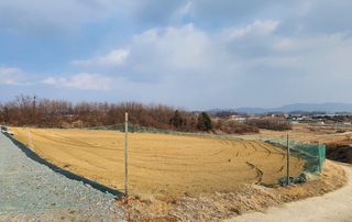 다정한농장님의 기타작물 · 영농일지 작성글 사진