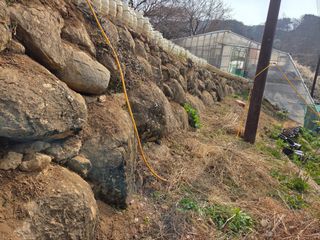 쌍둥이농장님의 기타작물 · 영농일지 작성글 사진