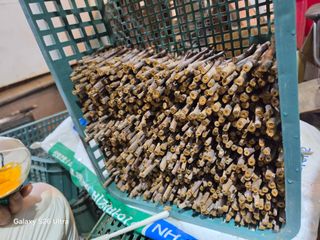 김종협님의 작성글 사진