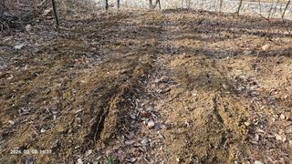 임상근님의 기타작물 · 영농일지 작성글 사진