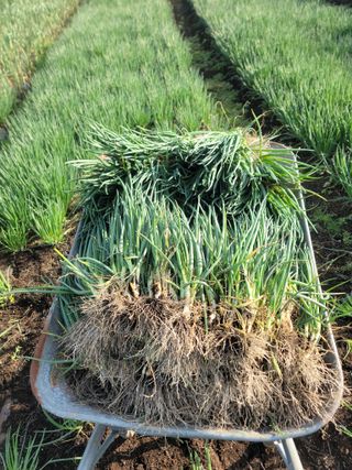 개인교수님의 작성글 사진