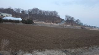 안경준님의 콩 · 영농일지 작성글 사진