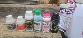 강영애님의 작성글 사진