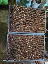 김종협님의 작성글 사진