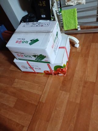 최유순님의 기타작물 · 영농일지 작성글 사진