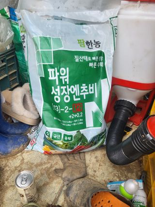 전선경님의 마늘 · 영농일지 작성글 사진