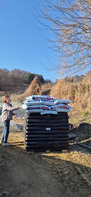 원증연님의 기타작물 · 영농일지 작성글 사진