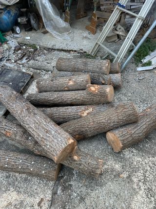 단감대봉시금치당님의 기타작물 · 영농일지 작성글 사진