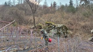 장봉덕님의 기타작물 · 영농일지 작성글 사진