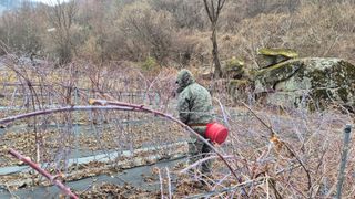 장봉덕님의 기타작물 · 영농일지 작성글 사진
