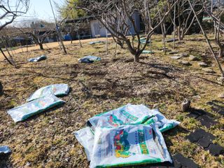 키다리님의 사과 · 영농일지 작성글 사진