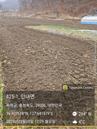 찔레골 양봉 농원님의 감자 · 영농일지 작성글 사진