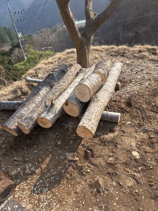 박동섭님의 기타작물 · 영농일지 작성글 사진