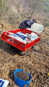 팜모닝 기타작물·영농일지 게시글 이미지