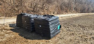 초보농부님의 기타작물 · 영농일지 작성글 사진