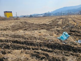 넥스젠님의 벼 · 영농일지 작성글 사진