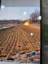 팜모닝 기타작물·영농일지 게시글 이미지