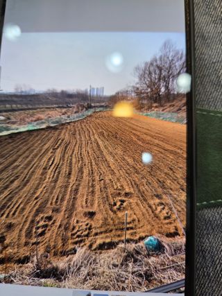 김연숙님의 기타작물 · 영농일지 작성글 사진