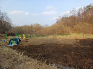 최정윤님의 감자 · 영농일지 작성글 사진