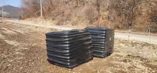 초보농부님의 기타작물 · 영농일지 작성글 사진