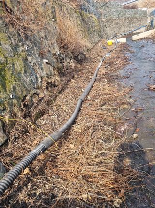 김용대님의 기타작물 · 영농일지 작성글 사진