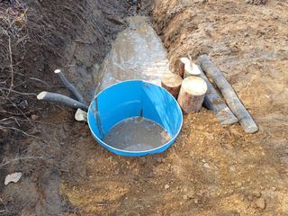 최정윤님의 감자 · 영농일지 작성글 사진