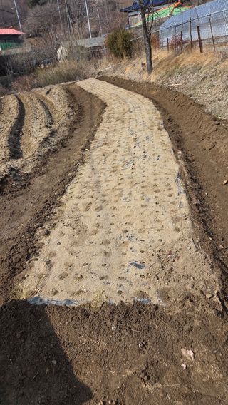 남상호 님의 기타작물 · 영농일지 작성글 사진