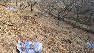 김동명님의 기타작물 · 영농일지 작성글 사진