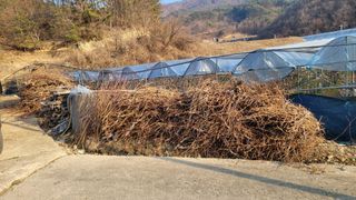 이용원님의 기타작물 · 영농일지 작성글 사진