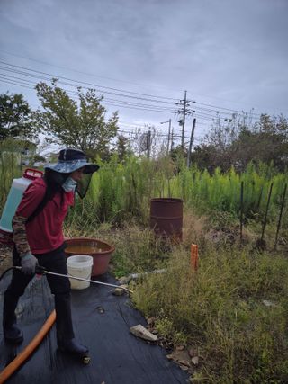 고태진님의 기타작물 · 영농일지 작성글 사진