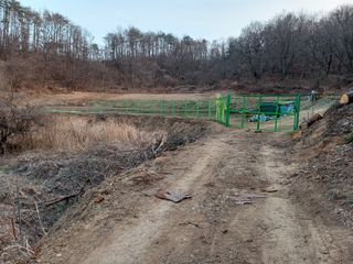 최정윤님의 감자 · 영농일지 작성글 사진