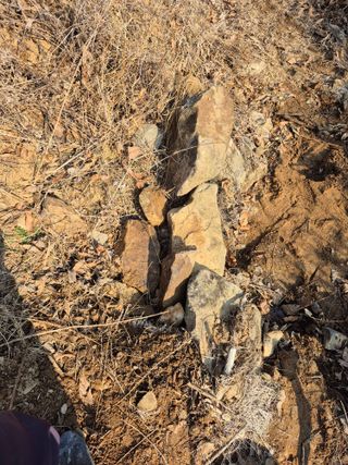 엉뚱님의 기타작물 · 영농일지 작성글 사진