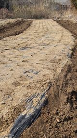 남상호 님의 작성글 사진