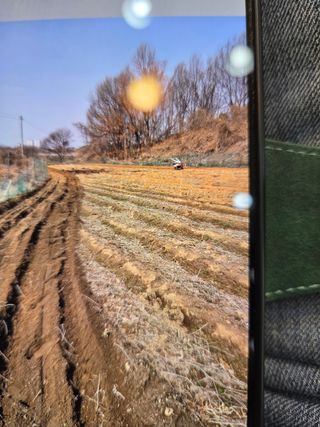 김연숙님의 기타작물 · 영농일지 작성글 사진