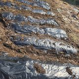 팜모닝 기타작물·영농일지 게시글 이미지