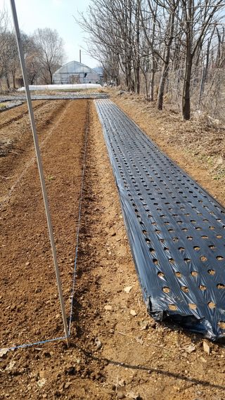 김지철님의 기타작물 · 영농일지 작성글 사진