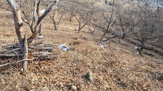 김동명님의 기타작물 · 영농일지 작성글 사진