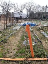 팜모닝 기타작물·영농일지 게시글 이미지