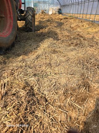 우희태님의 고추 · 영농일지 작성글 사진