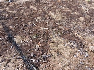 최남옥님의 기타작물 · 영농일지 작성글 사진