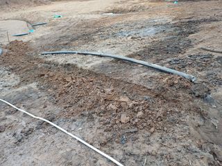 최정윤님의 감자 · 영농일지 작성글 사진