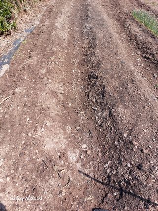 손길준님의 기타작물 · 영농일지 작성글 사진